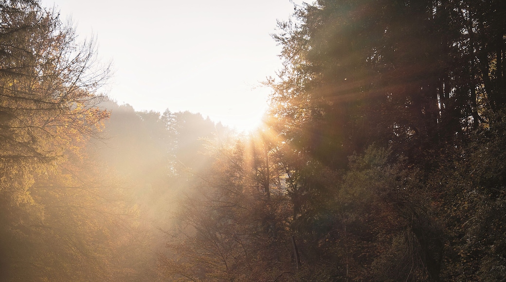 We had a hike in the Gorges de la Jogne close to Broc in autumn 2018, the major part of the walk was done under the cloudy day until about half an hour before the sunset, the sky started to break open and reveal its glory to our camera!