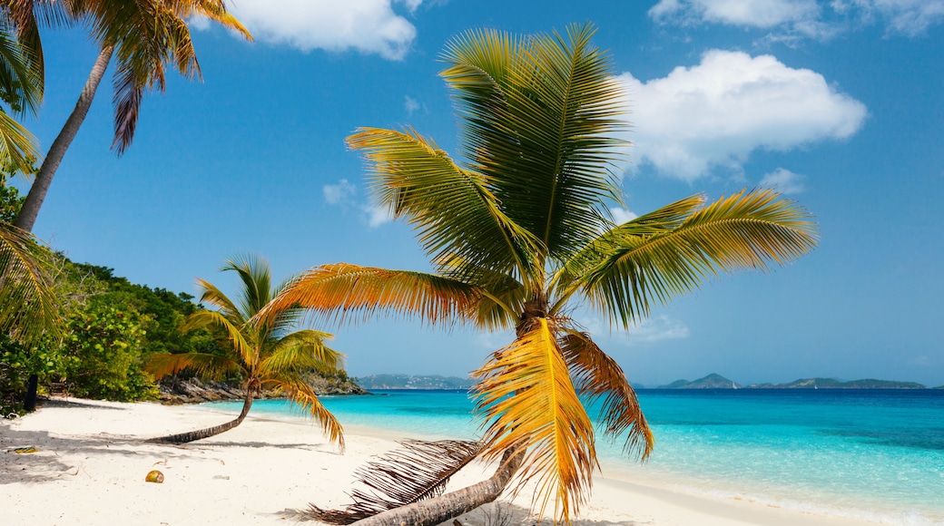 Beautiful tropical beach at Caribbean