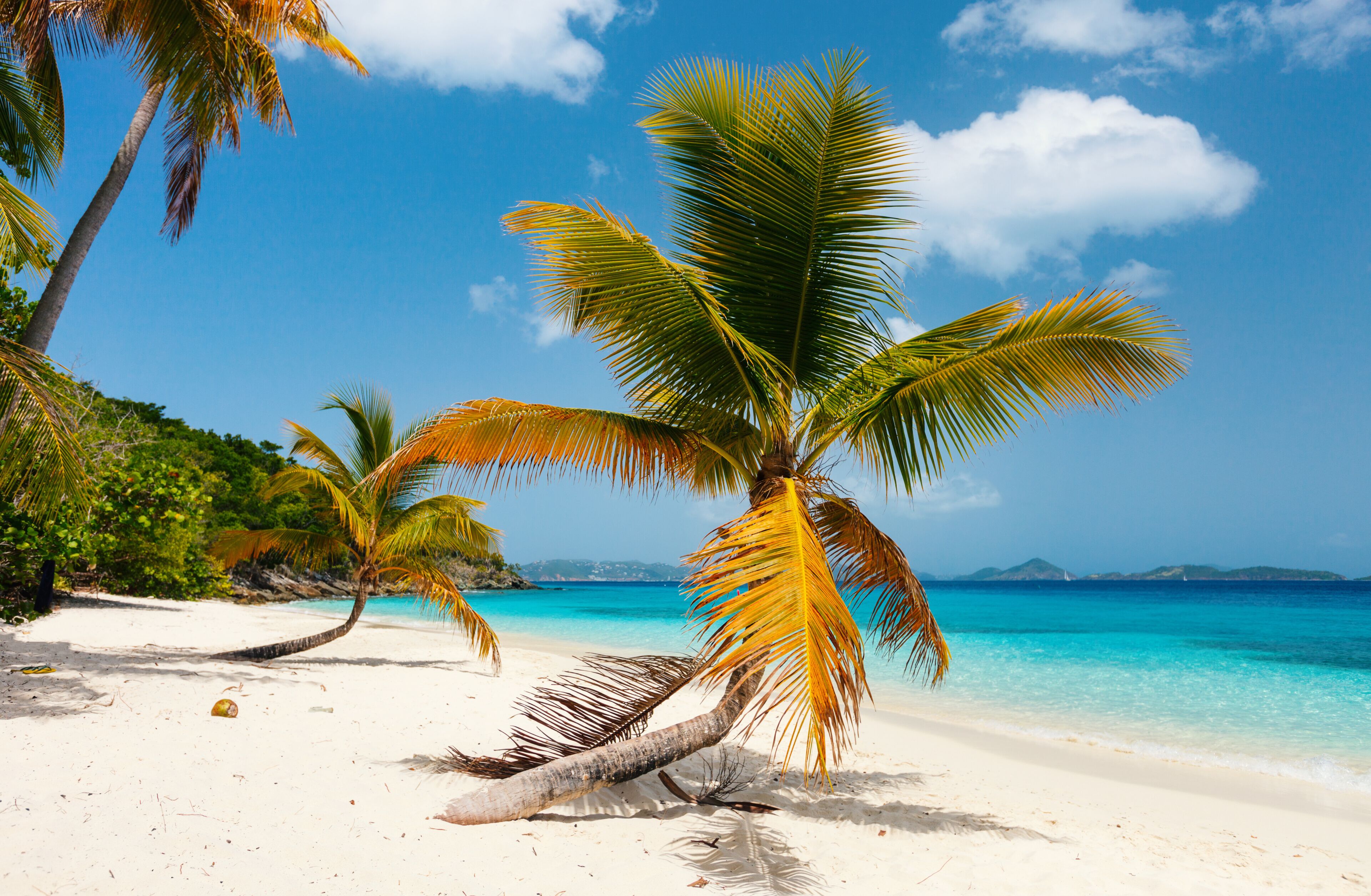 A beach with white sand, clear turquoise water, and palm trees.