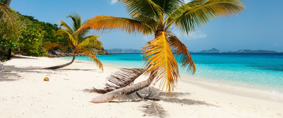 A beach with white sand, clear turquoise water, and palm trees.