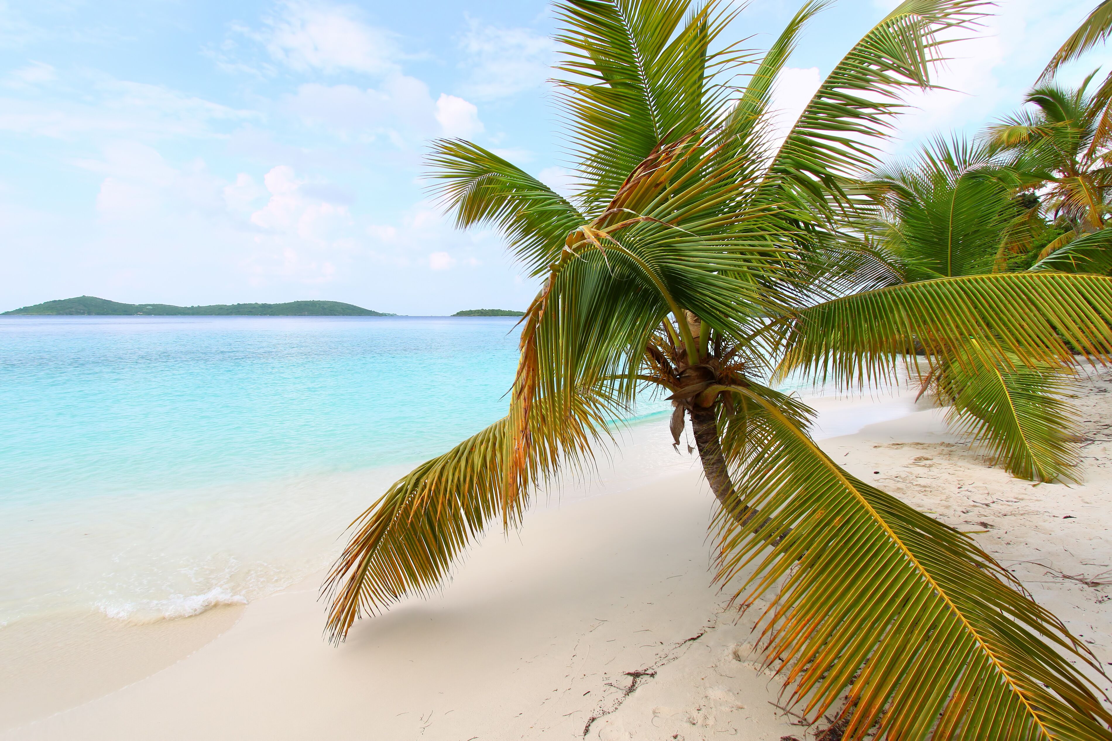 Une plage de sable blanc, avec une eau turquoise cristalline et des palmiers.