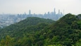 Une vue sur les gratte-ciel d’une ville, avec une forêt dense au premier plan.