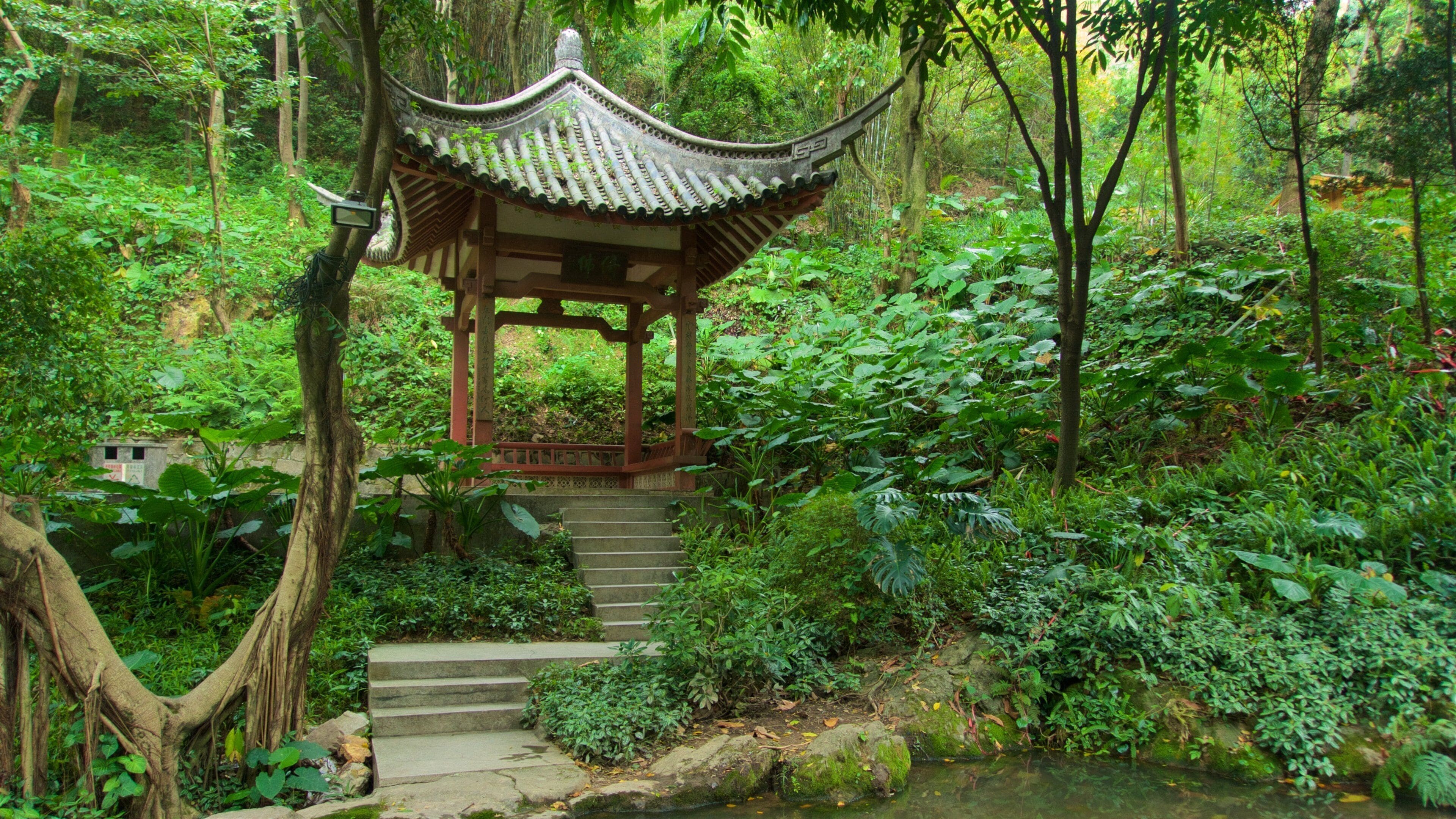 ภูเขาไบหยุน