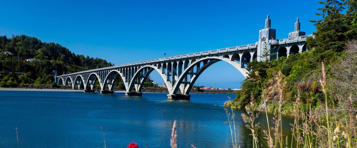 A bridge over a calm river, surrounded by lush greenery and vibrant flowers.