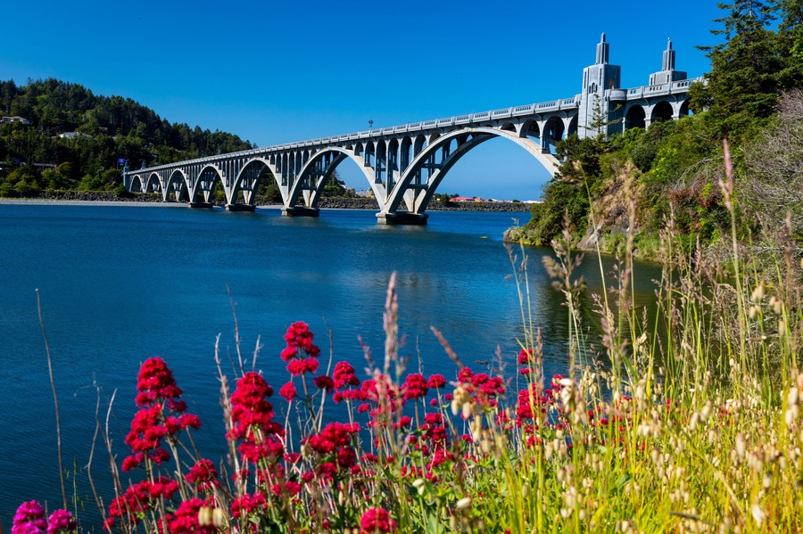 Un puente sobre un río tranquilo, rodeado de vegetación exuberante y flores vibrantes.