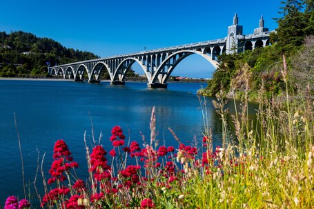 A bridge over a calm river, surrounded by lush greenery and vibrant flowers.