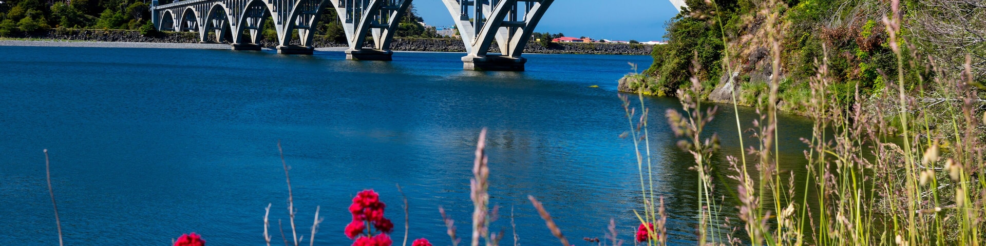 Un puente sobre un río tranquilo, rodeado de vegetación exuberante y flores vibrantes.