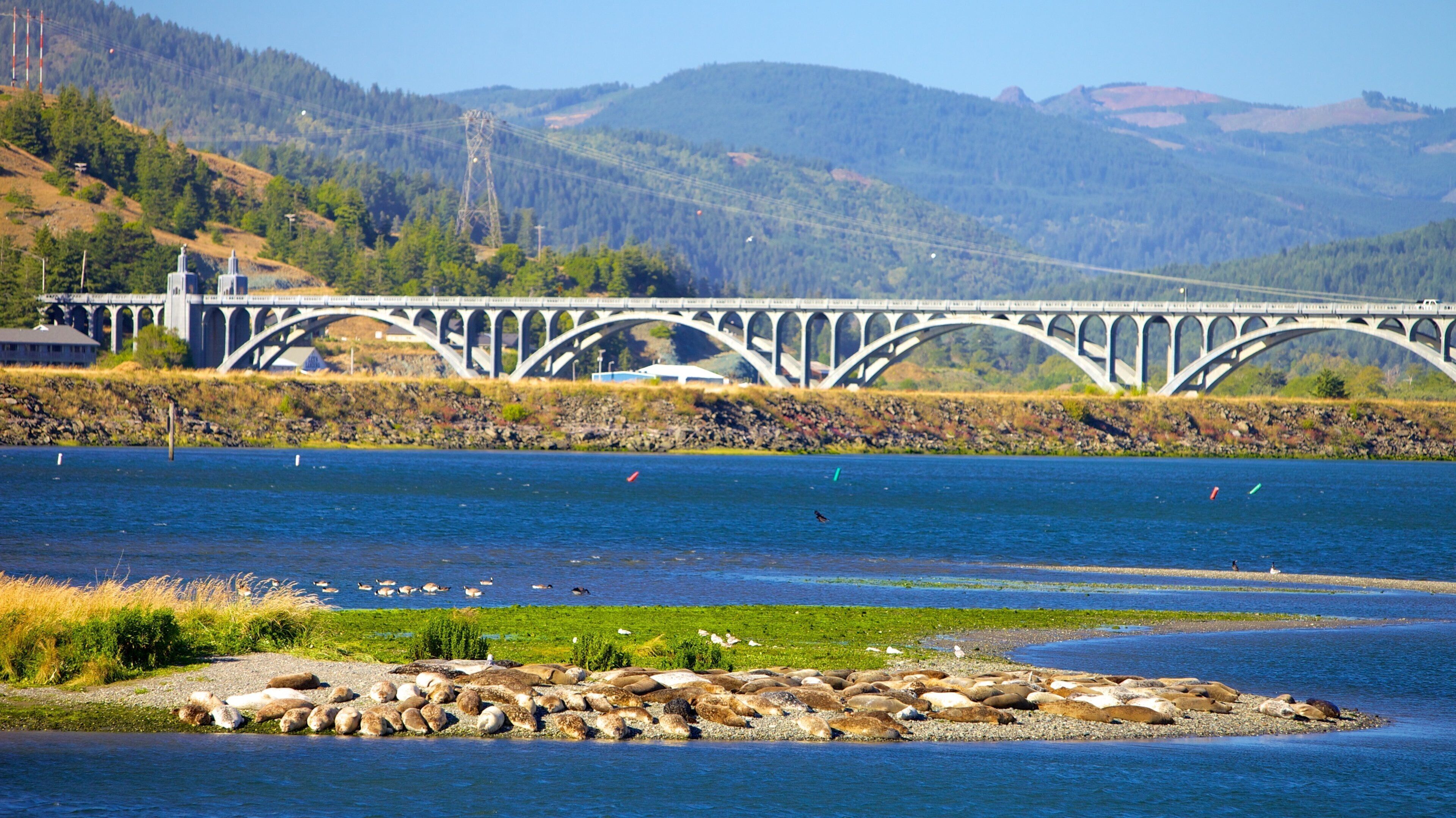 A bridge over a river with a rocky shoreline and hills in the background.