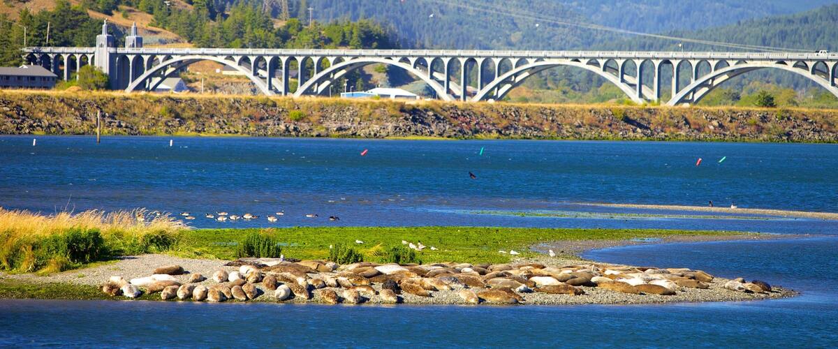 A bridge over a river with a rocky shoreline and hills in the background.