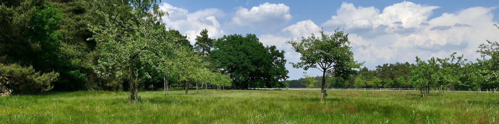 "Rövekamp" ist eine Wiese, die als GeschĂŒtzter Landschaftsbestandteil gem. § 22 Abs.4 NAGBNatSchG i.V.m. § 29 BNatSchG (Code 0902/18.0008) unter Schutz steht. Sie befindet sich im Landschaftsschutzgebiet LSG-H13 Forst Rundshorn â Fuhrberg und liegt im Gemeindegebiet von Wedemark.