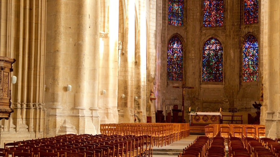 Saint-Vulfran Cathedral featuring a church or cathedral, interior views and heritage architecture