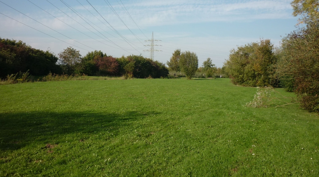 Liegewiese und Strommäste, Tannenbusch, 09.2011