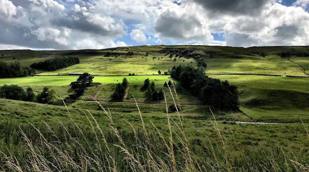 Clouds Casting Shadows