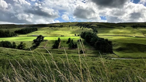 Clouds Casting Shadows