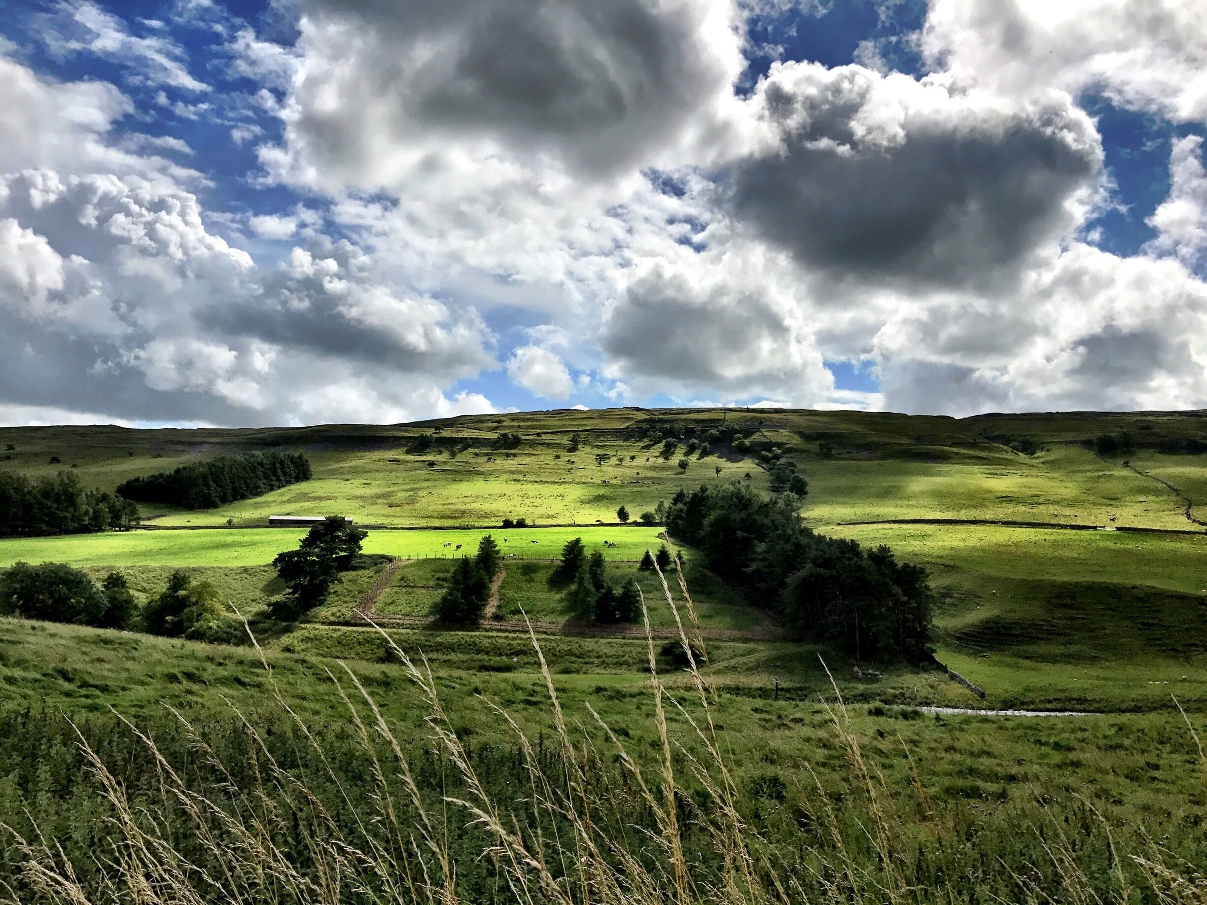 A green valley with rolling hills and a cloudy sky.