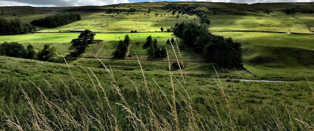 A green valley with rolling hills and a cloudy sky.
