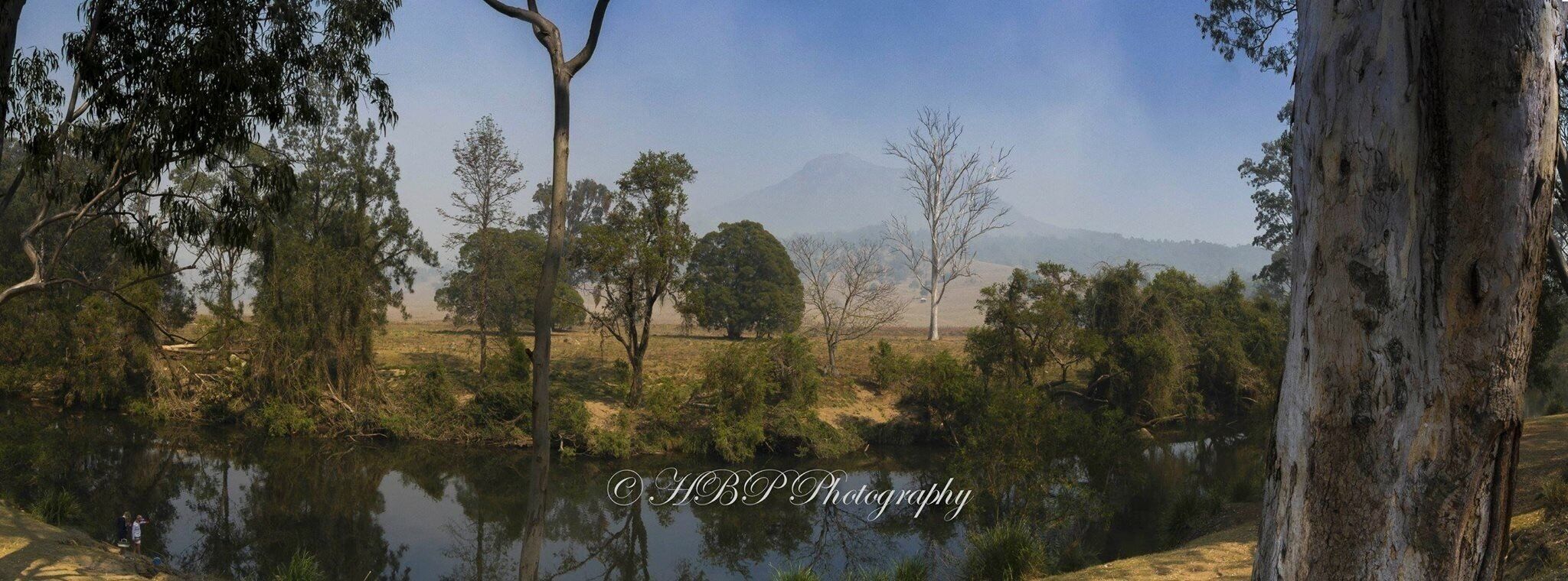 A serene landscape with a body of water, trees, and a distant mountain.