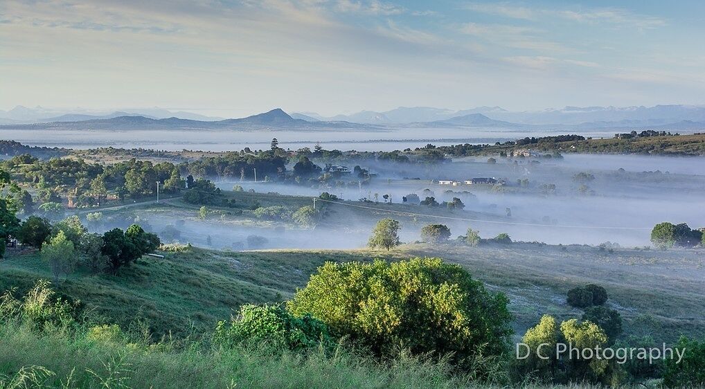 A misty landscape with rolling hills, scattered trees, and distant mountains.