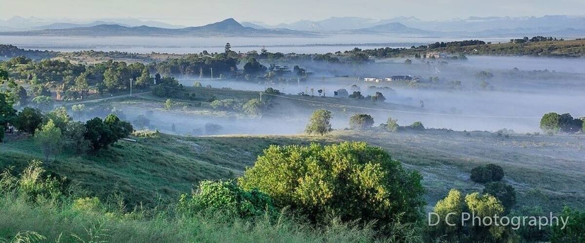 A misty landscape with rolling hills, scattered trees, and distant mountains.