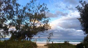 Beach entrance at the Tweed Heads Coast Reserve - Late Afternoon