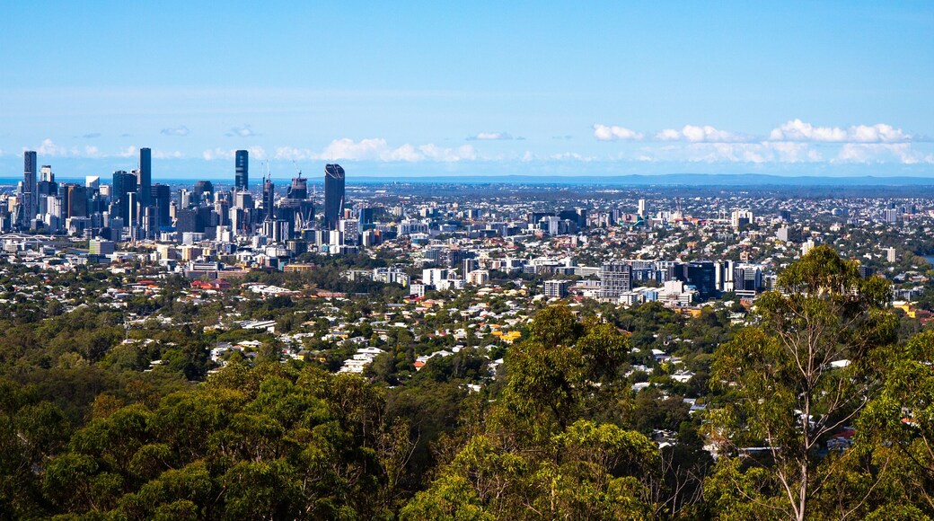 panorama of brisbane cbd as seen from the Mount Coot-tha summit; brisbane downtown in spring 2023 with skyscrapers and brisbane river seen from the mountain, hiking in brisbane