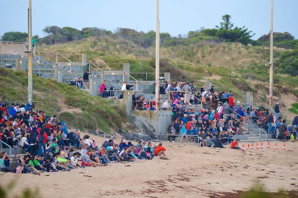 Penguin Parade montrant plage de sable aussi bien que important groupe de personnes