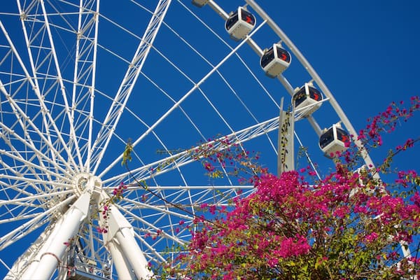 Wheel of Brisbane which includes flowers and modern architecture