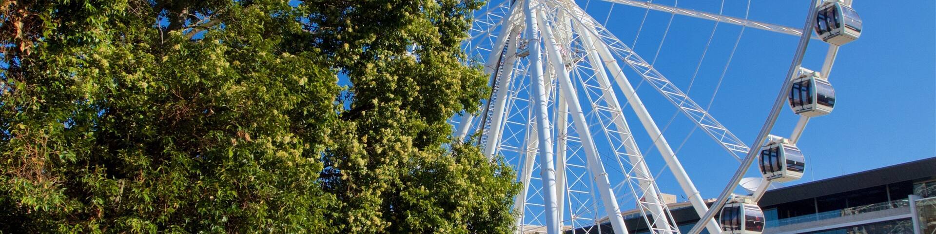 ホイール オブ ブリスベン 表示 現代建築 と 都市