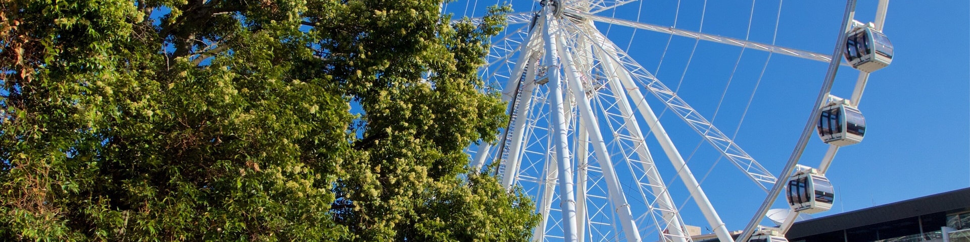 Wheel of Brisbane featuring a city and modern architecture