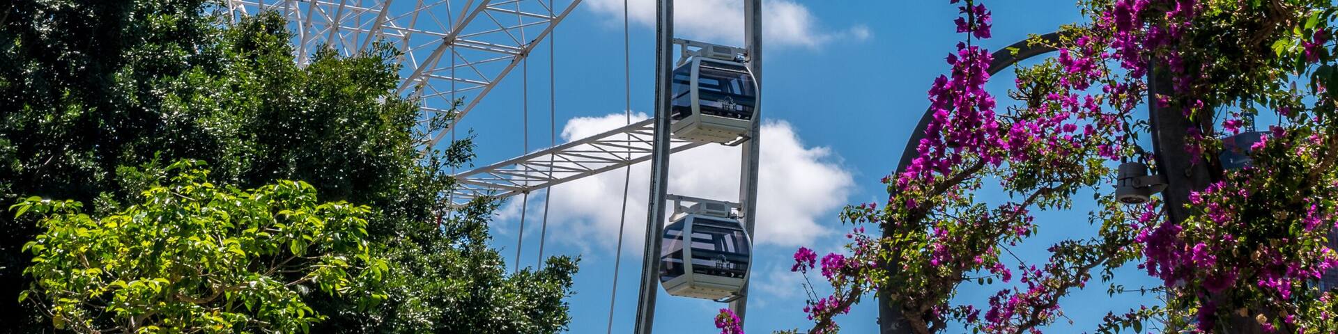 A large Ferris wheel surrounded by lush greenery and pink flowers against a clear blue sky.