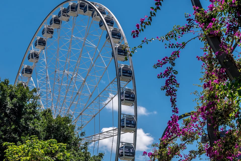 A large Ferris wheel surrounded by lush greenery and pink flowers against a clear blue sky.