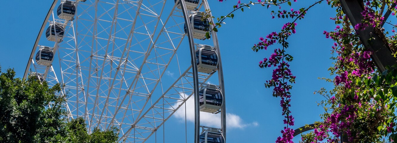 A large Ferris wheel surrounded by lush greenery and pink flowers against a clear blue sky.