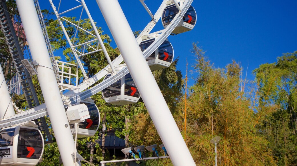 Wheel of Brisbane which includes modern architecture
