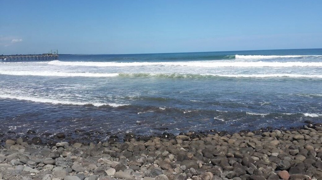 Puerto , La libertad