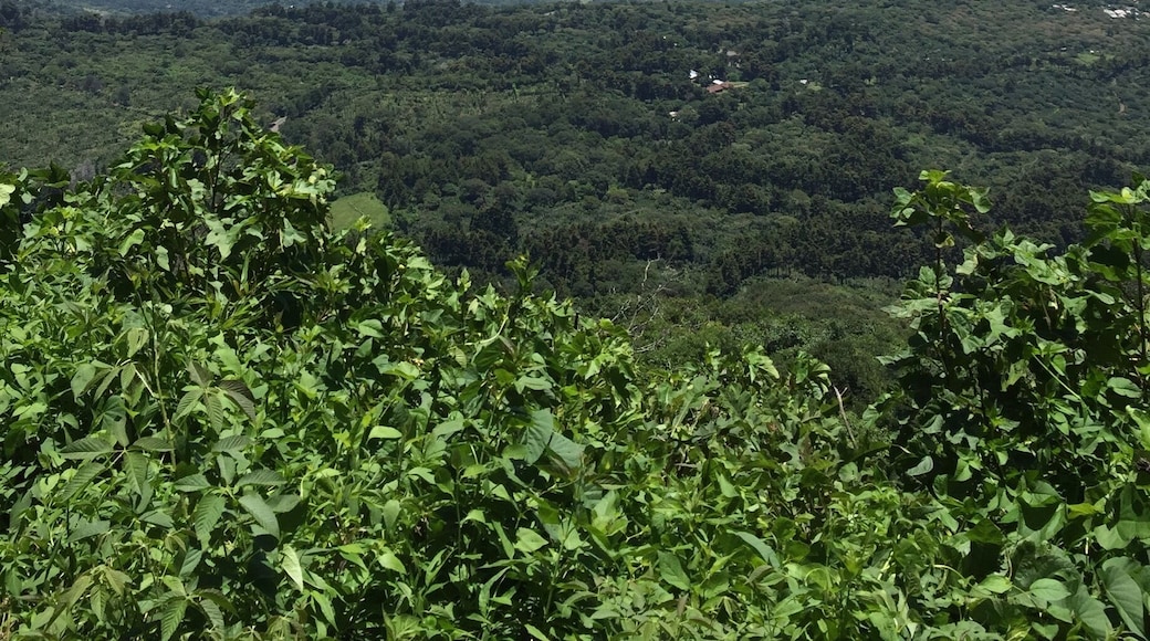 Looking down into a resort area in a volcano