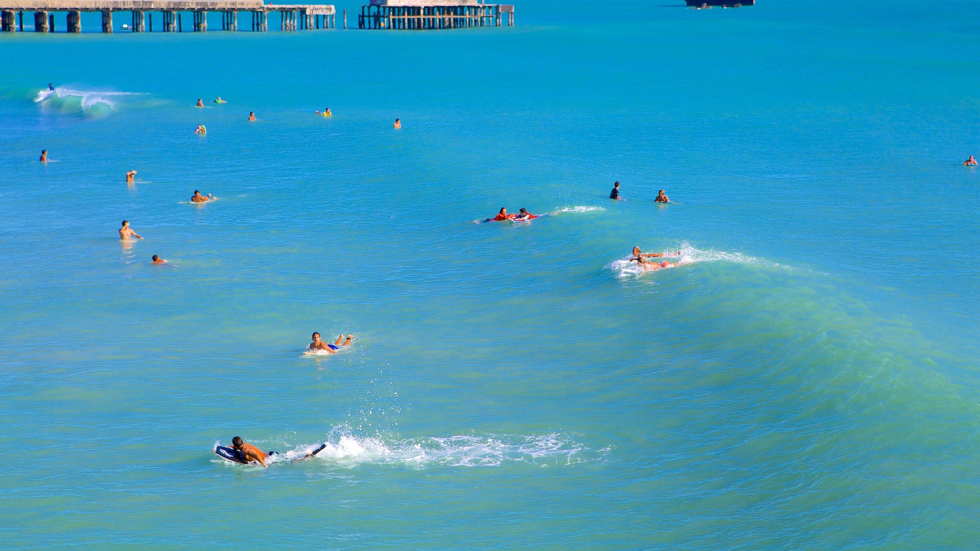 Ponte dos Ingleses showing swimming and surf as well as a large group of people