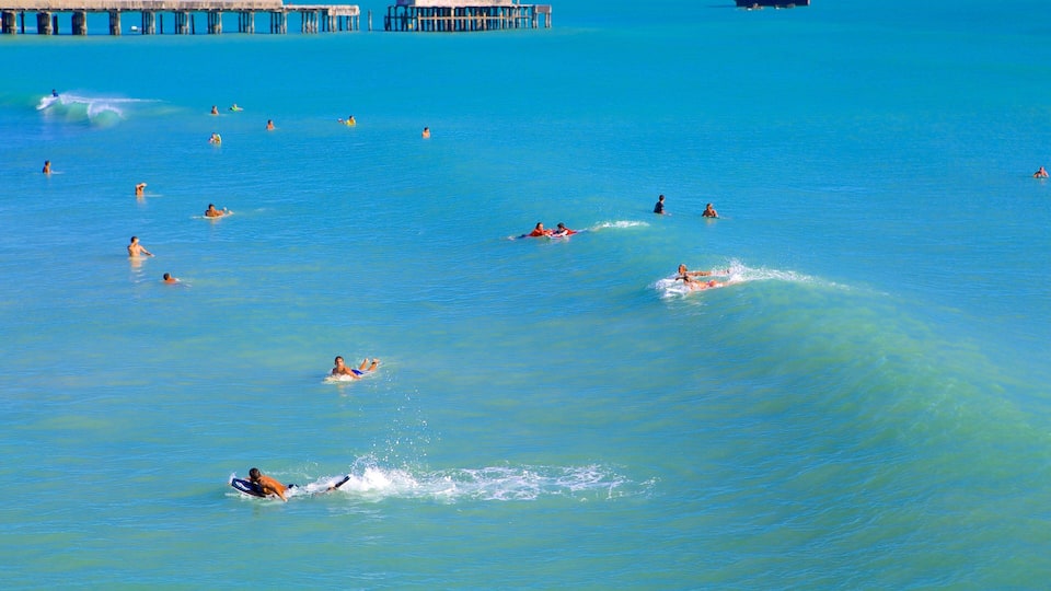 Ingleses-broen som omfatter svømning og bølger såvel som en stor gruppe mennesker