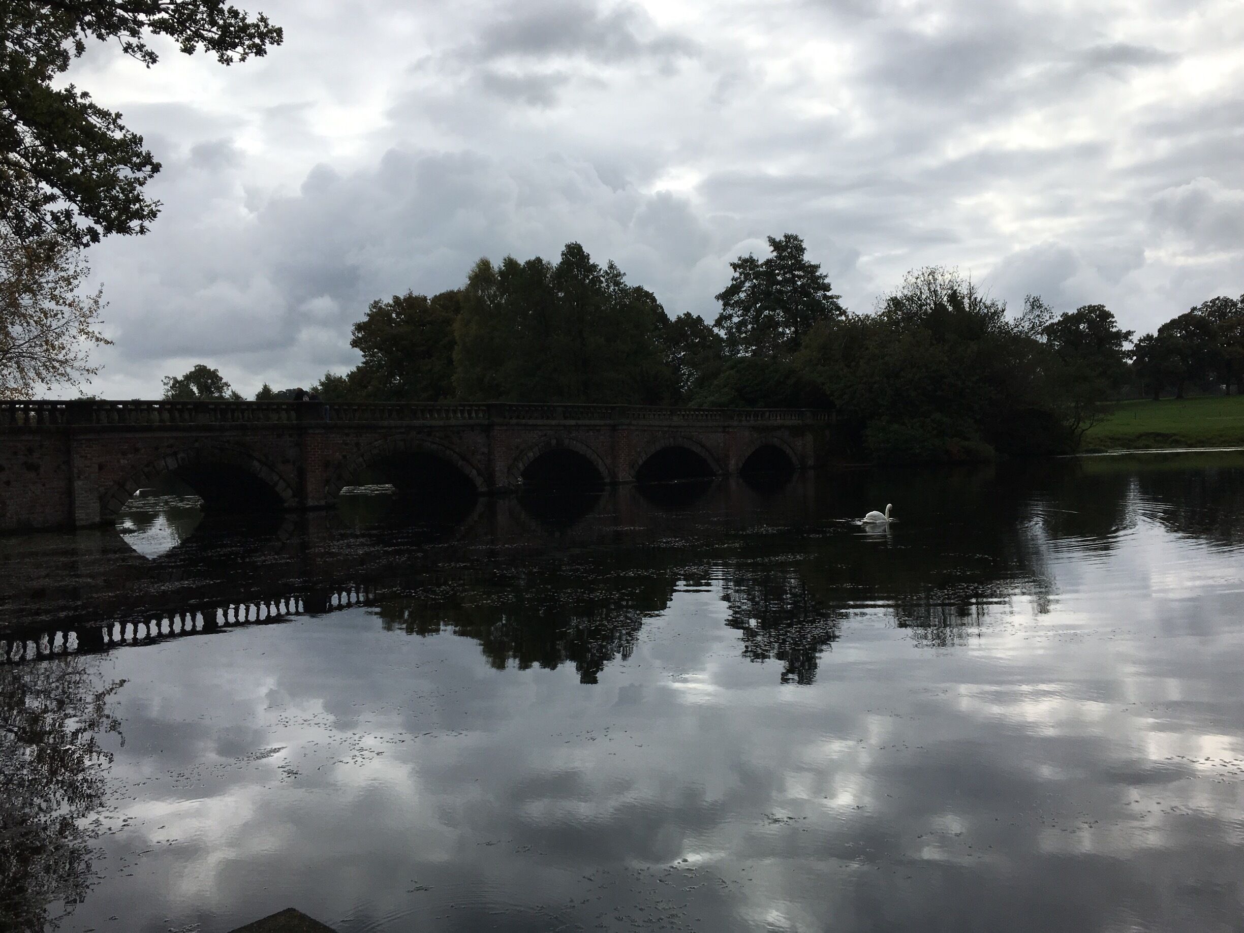 Beautiful lakes within the grounds of Capesthorne hall - a gorgeous wedding venue on the outskirts of Macclesfield #Reflections