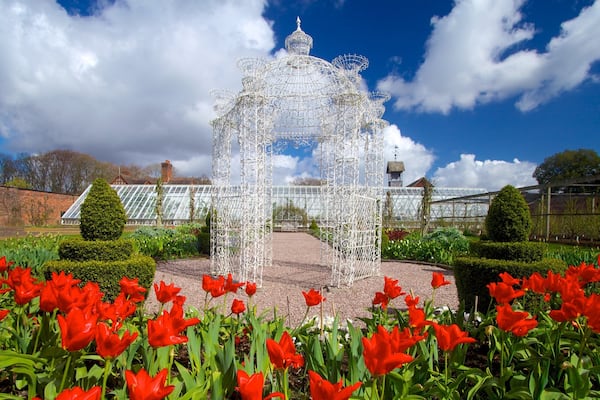 Une serre, une arche métallique blanche et des tulipes rouges.