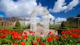 Un invernadero, un arco de metal blanco y tulipanes rojos.