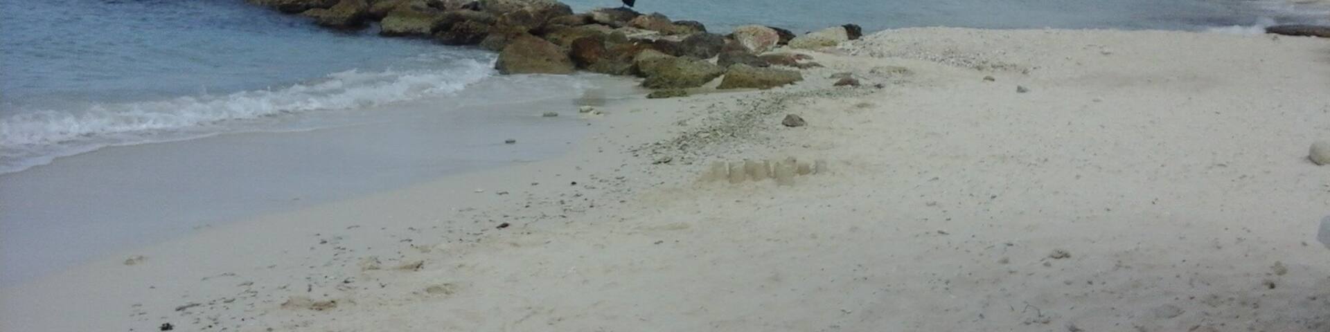 This is one of the best beaches in Curaçao; sometimes you can see pelicans there (like in this picture on the little dam).