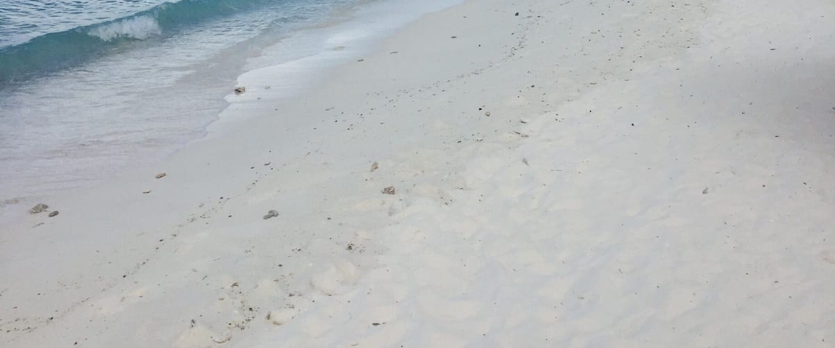 Nice little beach on Curaçao Island. Perfect for snorkeling:)