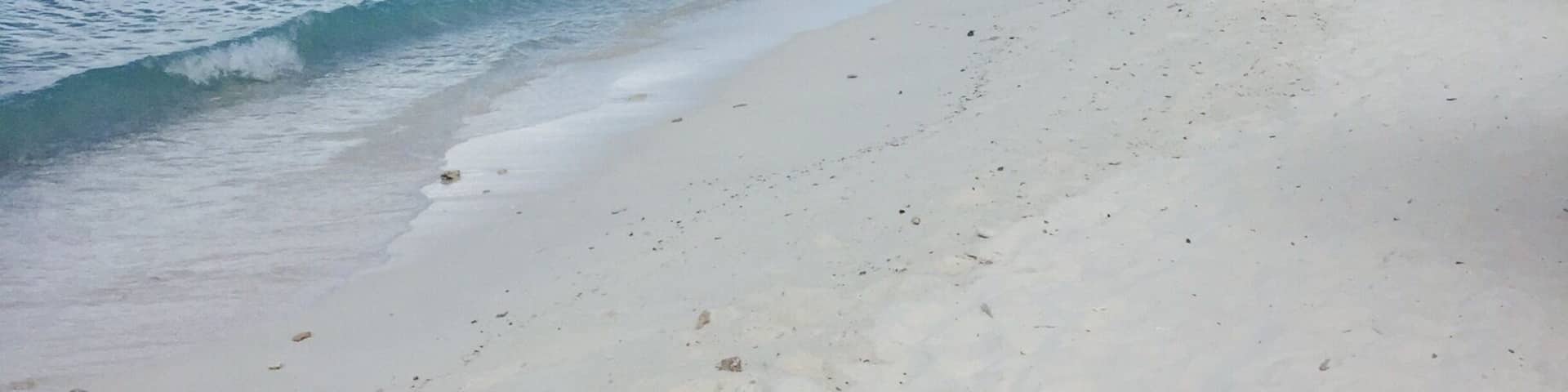 Nice little beach on Curaçao Island. Perfect for snorkeling:)