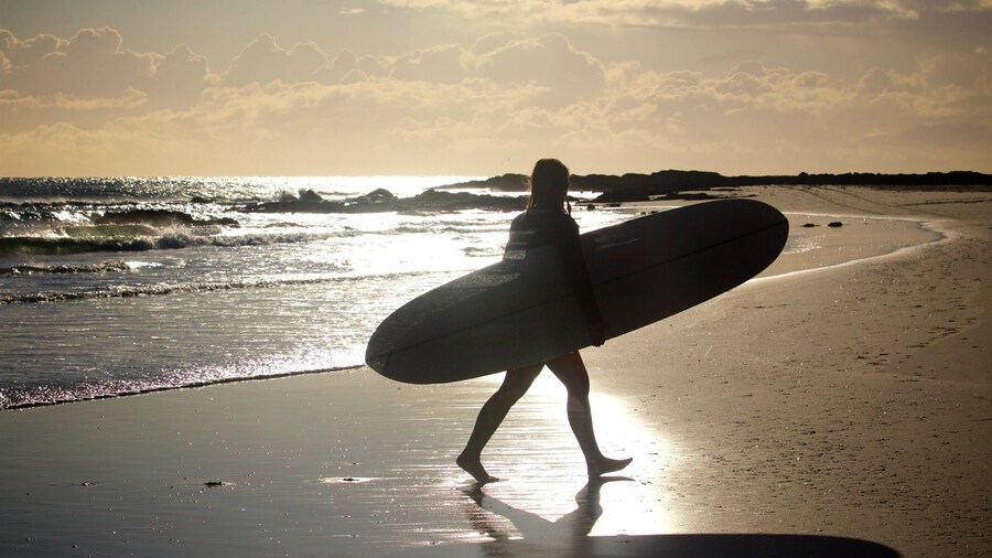 Snapper Rocks showing surfing, general coastal views and a beach
