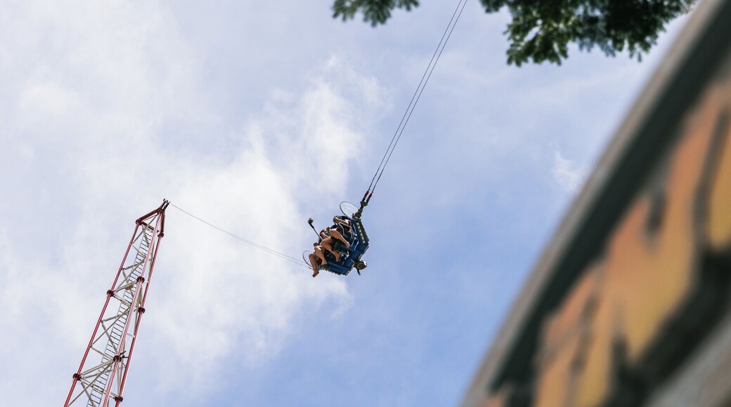 Slingshot