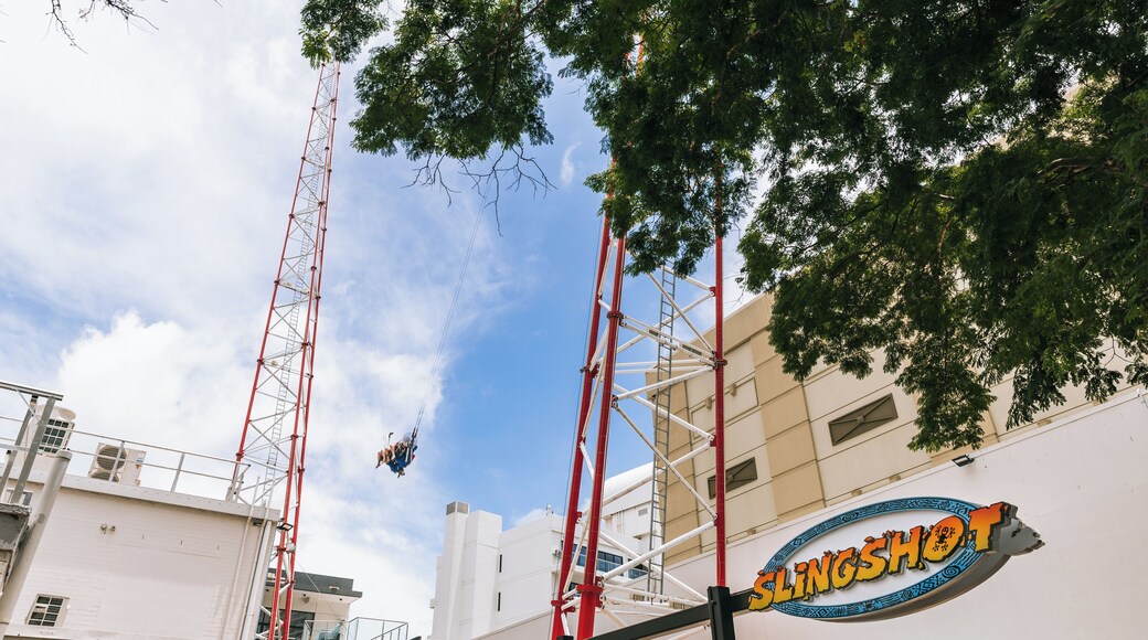 Slingshot