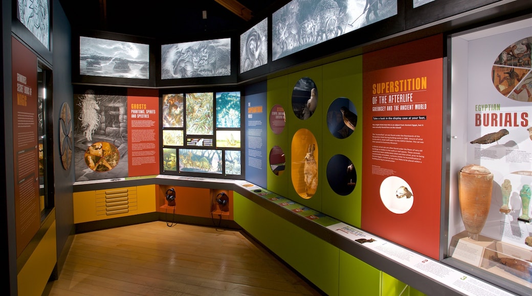 Guernsey Museum and Art Gallery which includes interior views