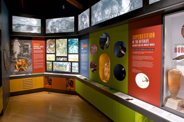 Guernsey Museum and Art Gallery showing interior views