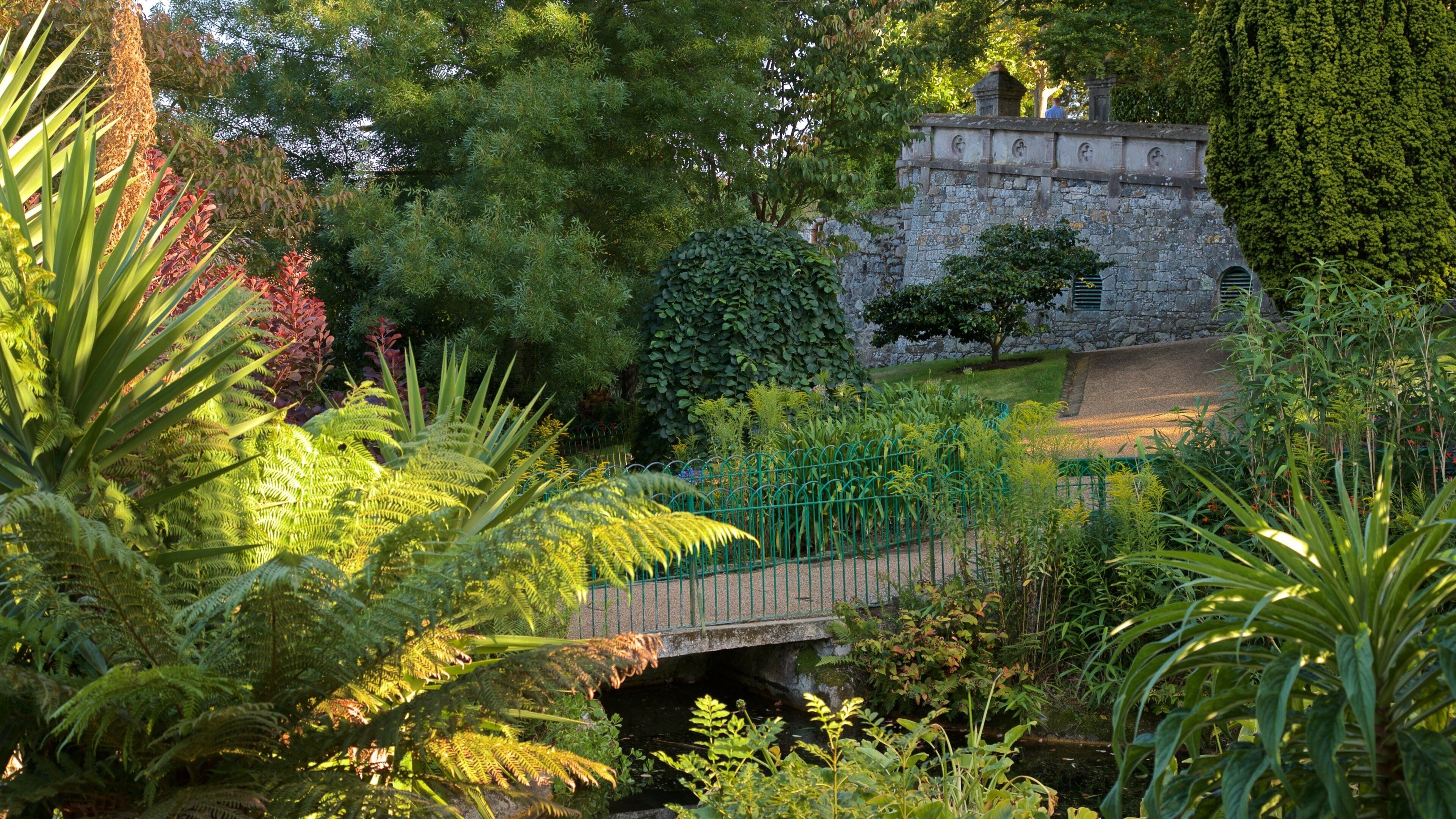 Candie Gardens showing a garden
