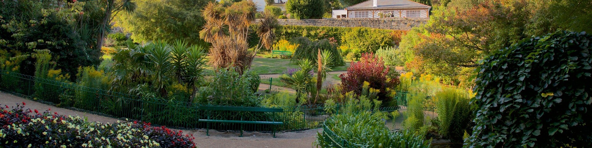 Candie Gardens featuring wildflowers and a garden
